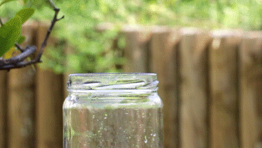 DOUBLE POT VASE